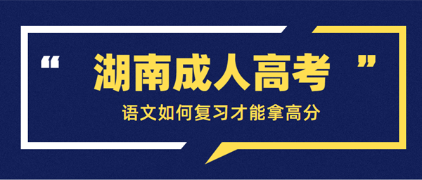 湖南成人高考語文如何復習才能拿高分