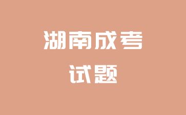 2024年湖南成考高起點《英語》考試真題及答案（3）